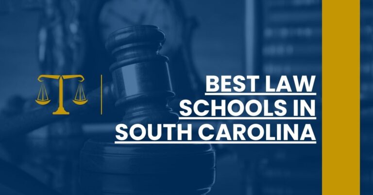 Best Law Schools In South Carolina Feature Image